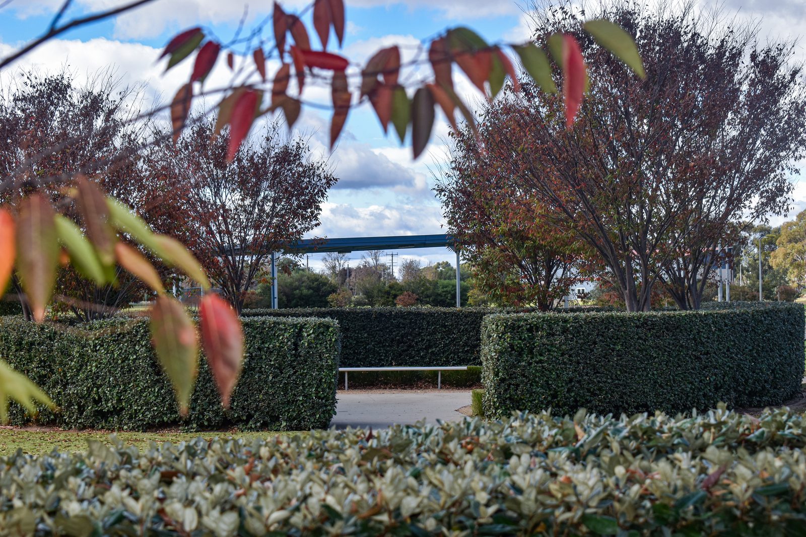 College grounds and gardens at Notre Dame College