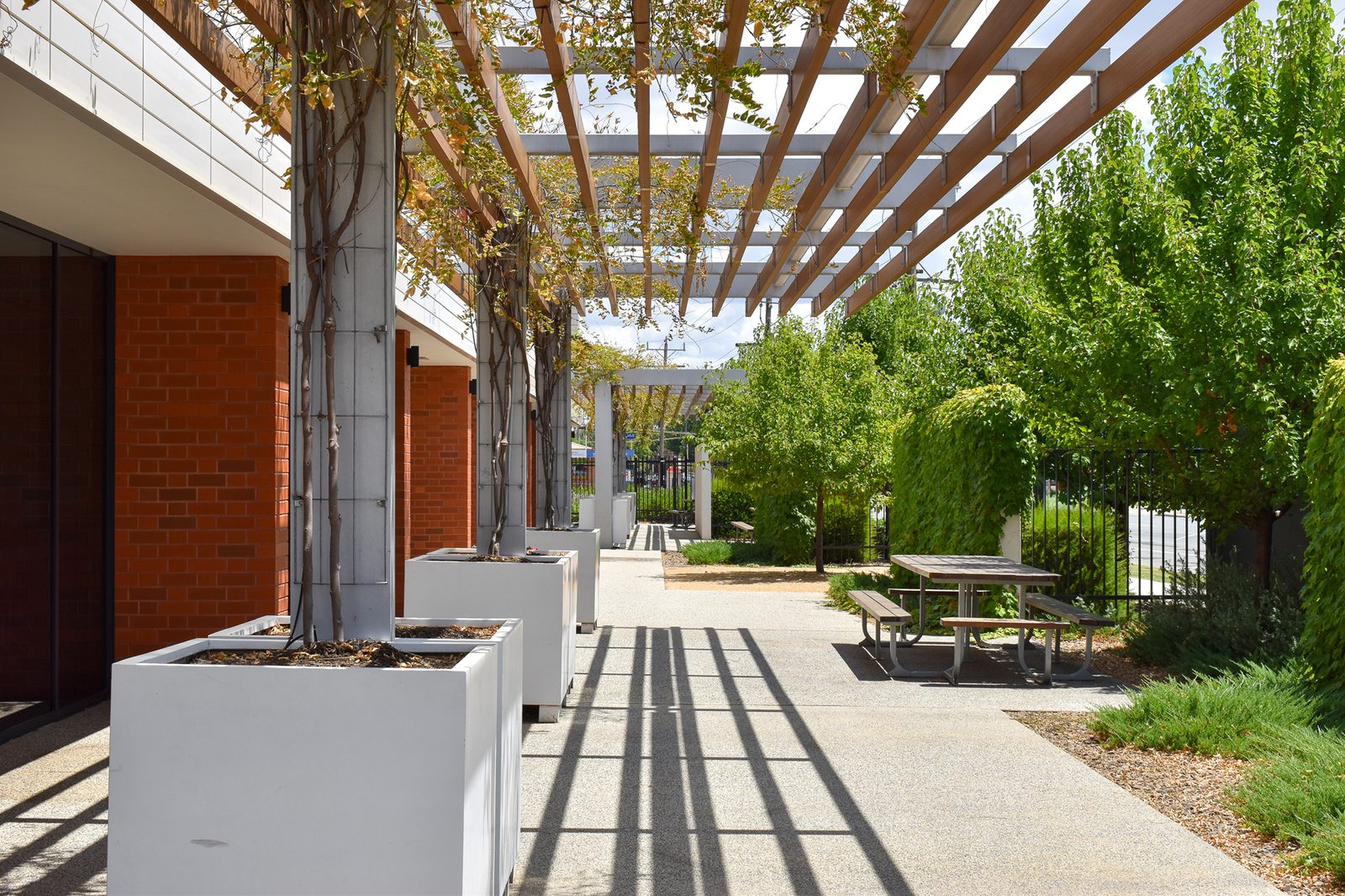 Landscaped campus walkway at Notre Dame College